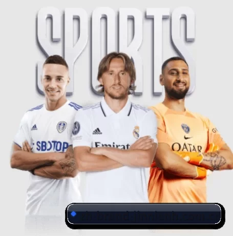 金年会 APP 界面